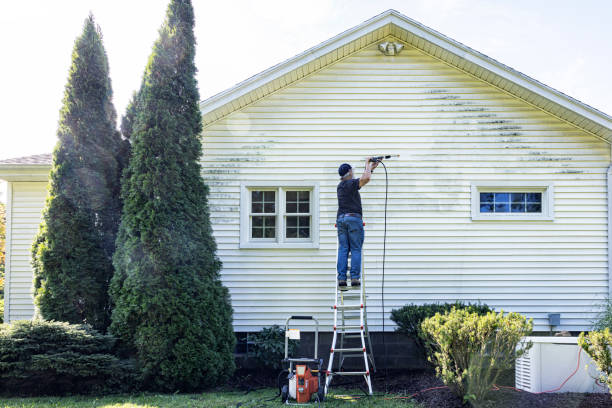 Best Fence Cleaning  in Covington, WA